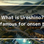 What is Ureshino? It's famous for onsen town!