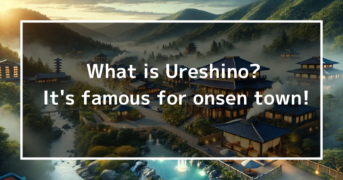 What is Ureshino? It's famous for onsen town!